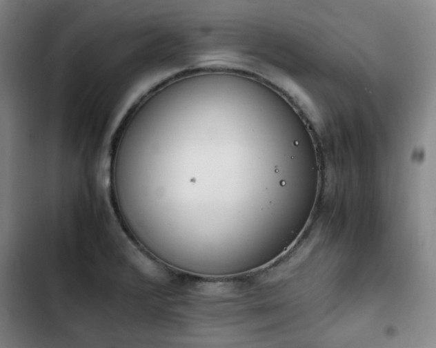 X0000102761376200808251018