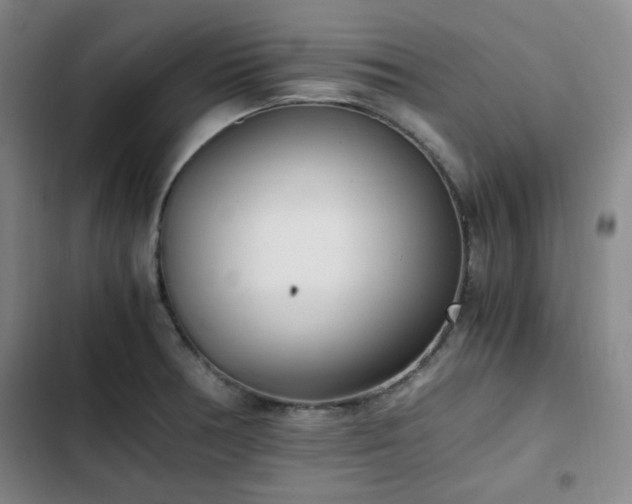 X0000102761378200808251018