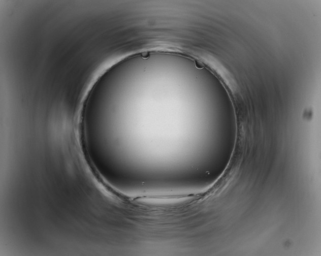 X0000102761379200808251018