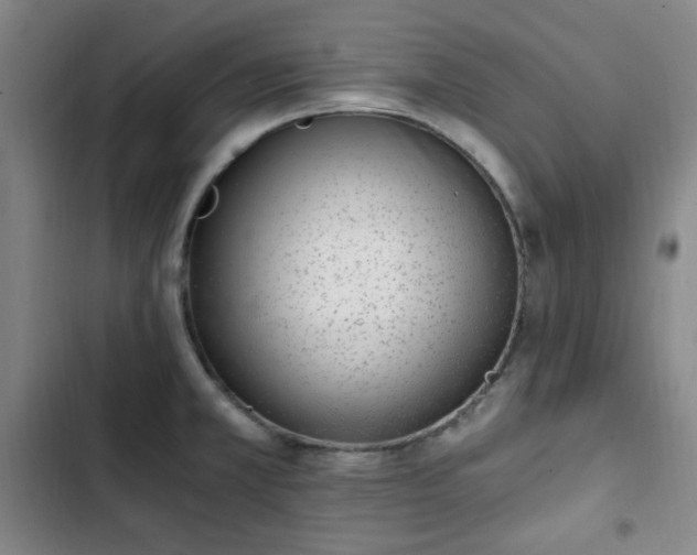 X0000102761381200808251018