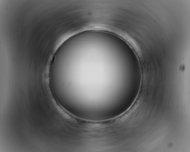 X0000102761382200808251018