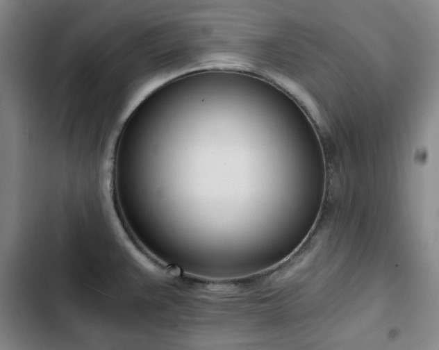 X0000102761383200808251018