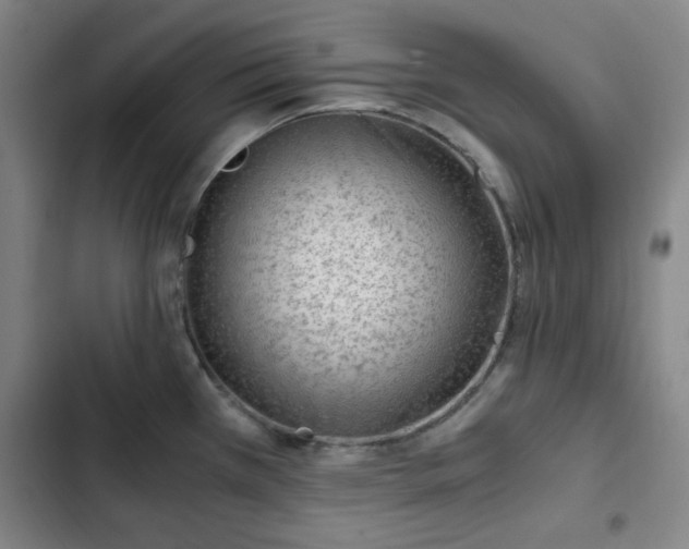 X0000102761385200808251018