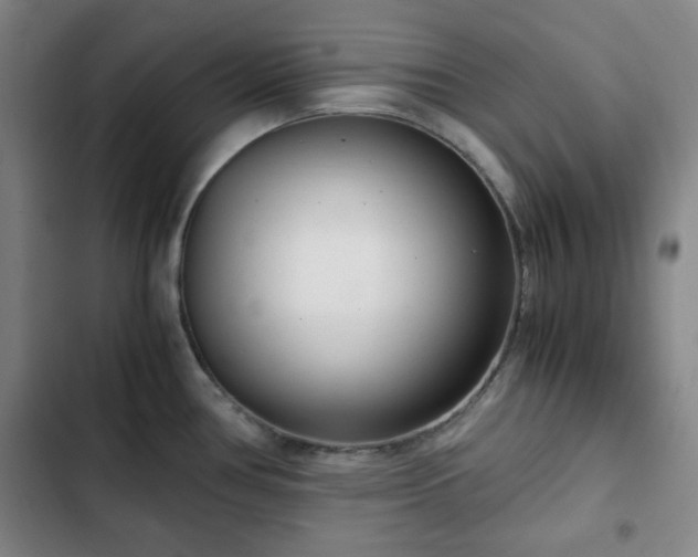 X0000102761386200808251018