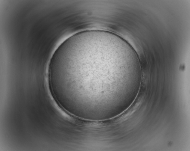 X0000102761387200808251018