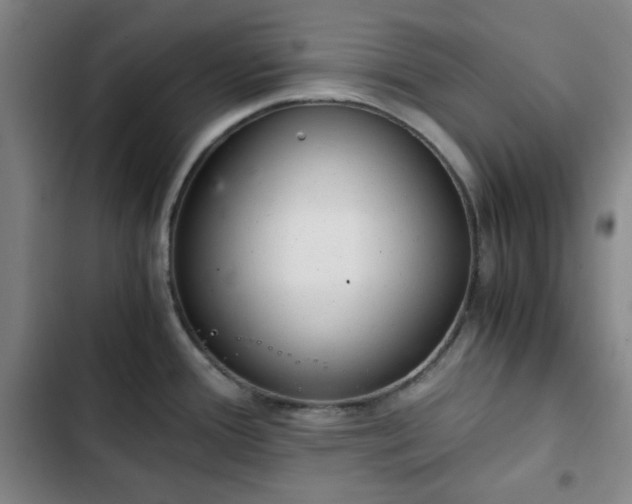 X0000102761388200808251018