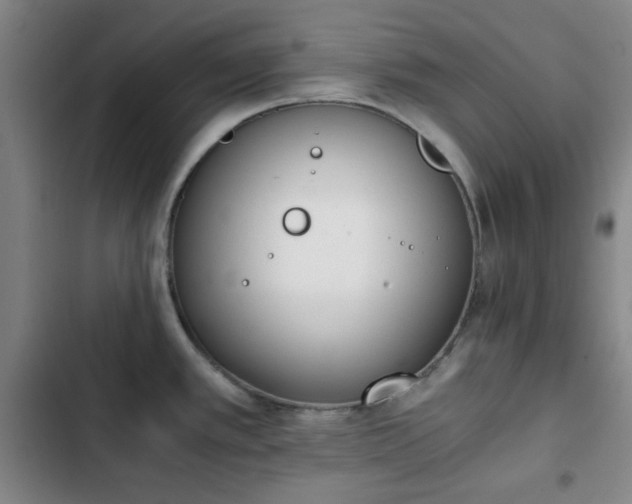 X0000102761389200808251018