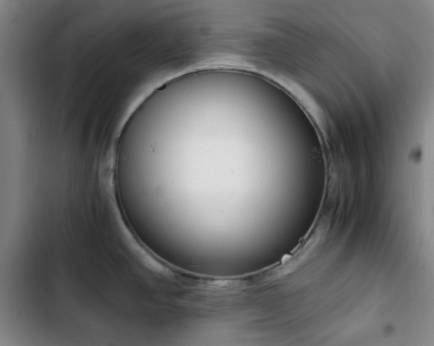 X0000102761390200808251018