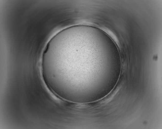 X0000102761391200808251018