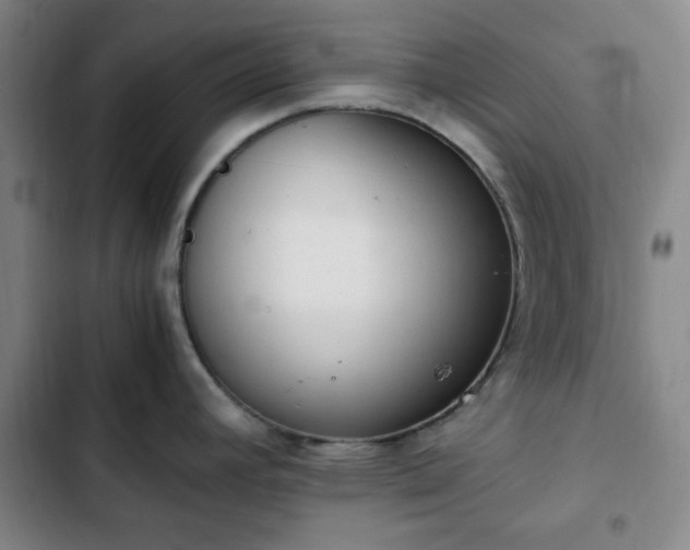 X0000102761392200808251018