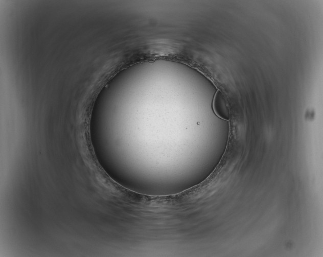 X0000102761393200808251017