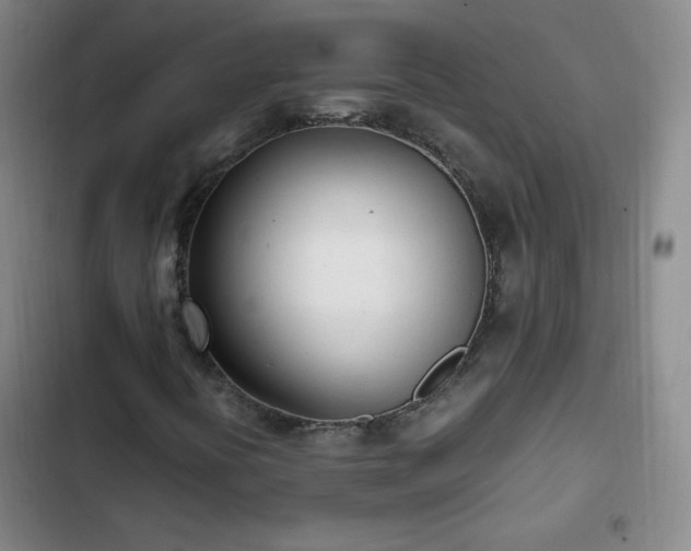 X0000102761394200808251017