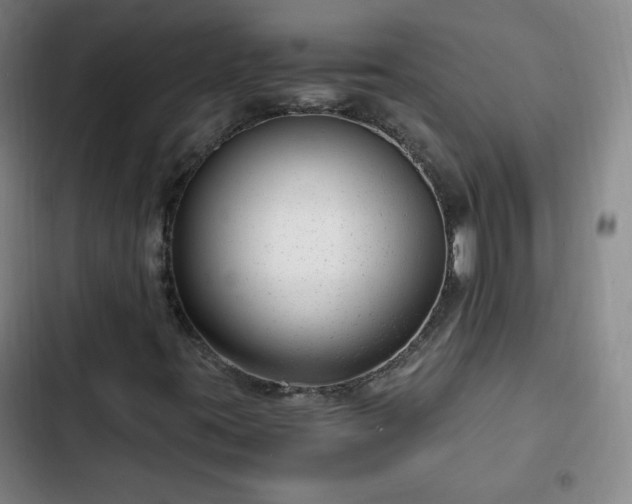 X0000102761395200808251017