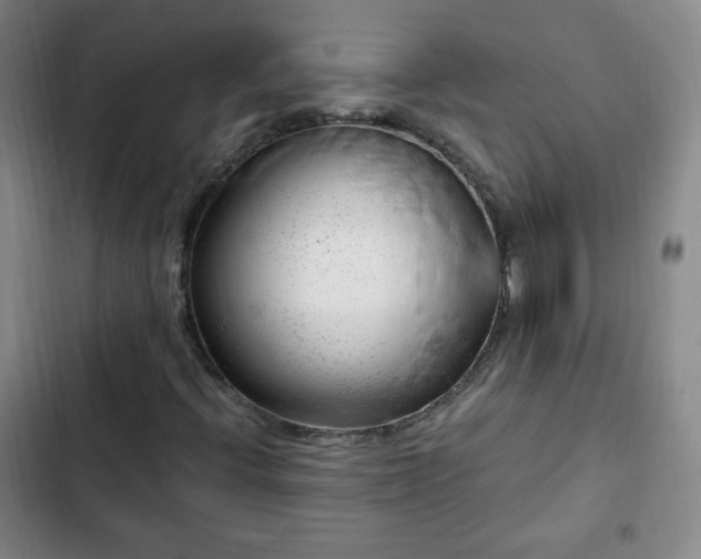 X0000102761396200808251017