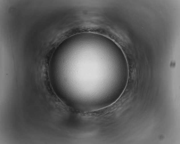 X0000102761397200808251017