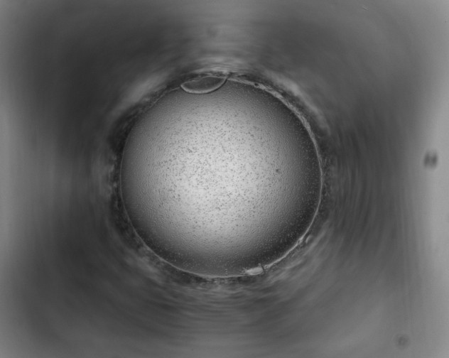 X0000102761399200808251017