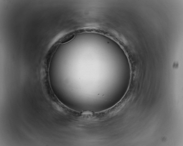 X0000102761400200808251017