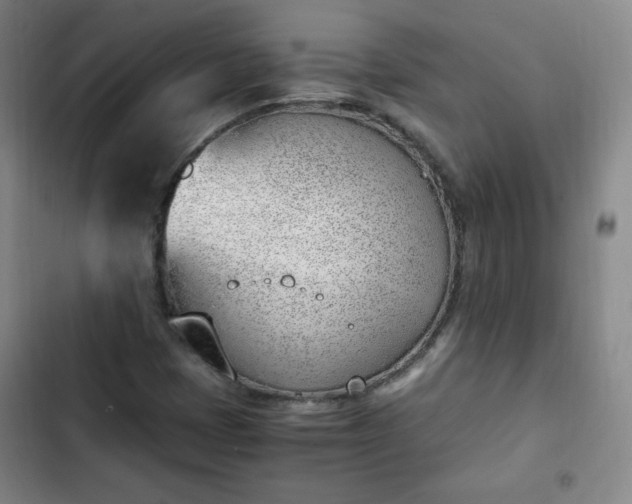 X0000102761401200808251017