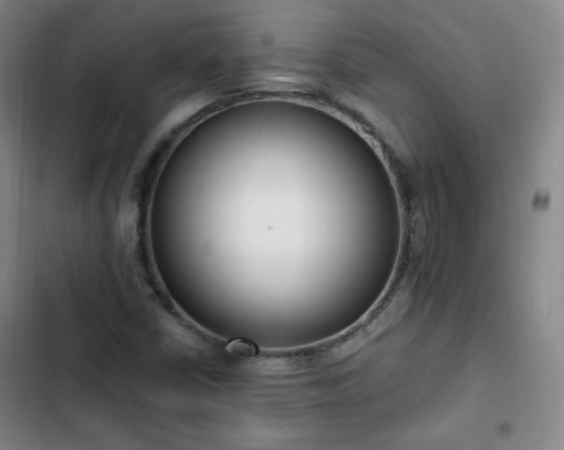 X0000102761402200808251017