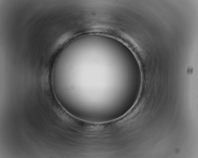 X0000102761403200808251017