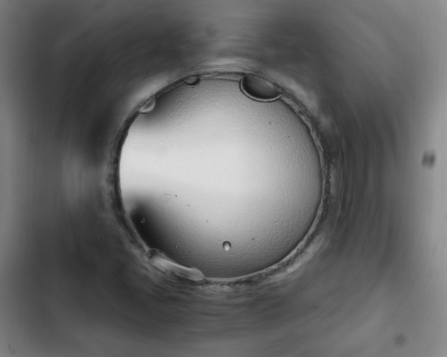 X0000102761405200808251017