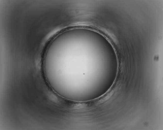 X0000102761406200808251017