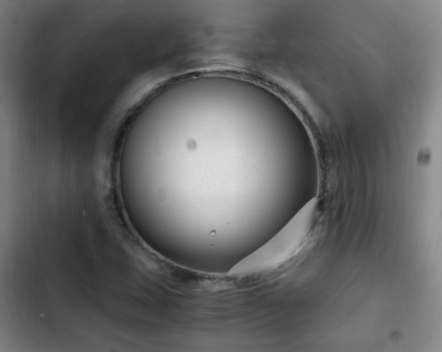 X0000102761407200808251017