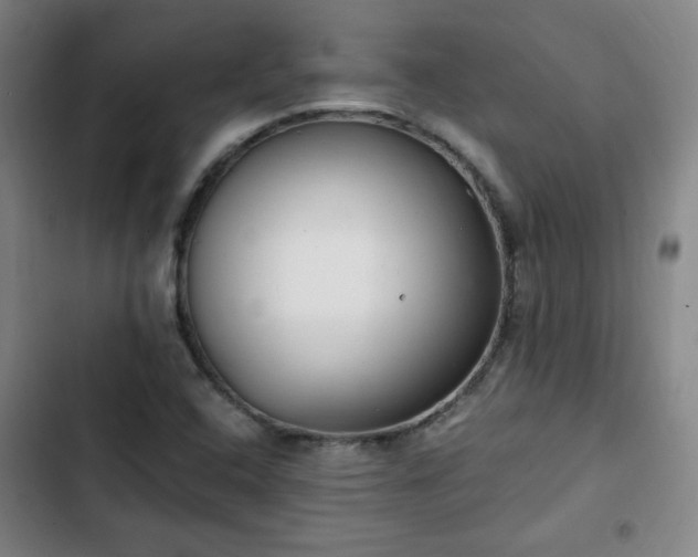 X0000102761408200808251017