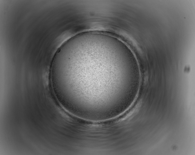 X0000102761409200808251017