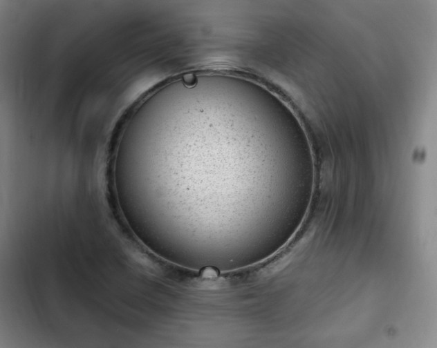 X0000102761410200808251017