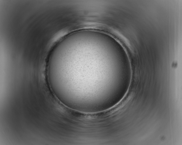 X0000102761411200808251017