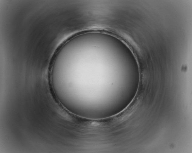 X0000102761412200808251017