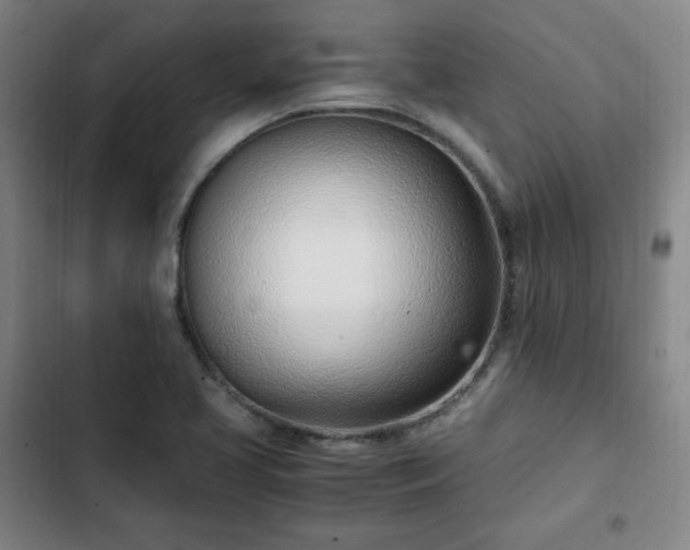 X0000102761413200808251017