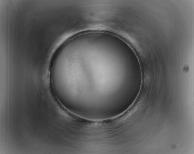 X0000102761414200808251017