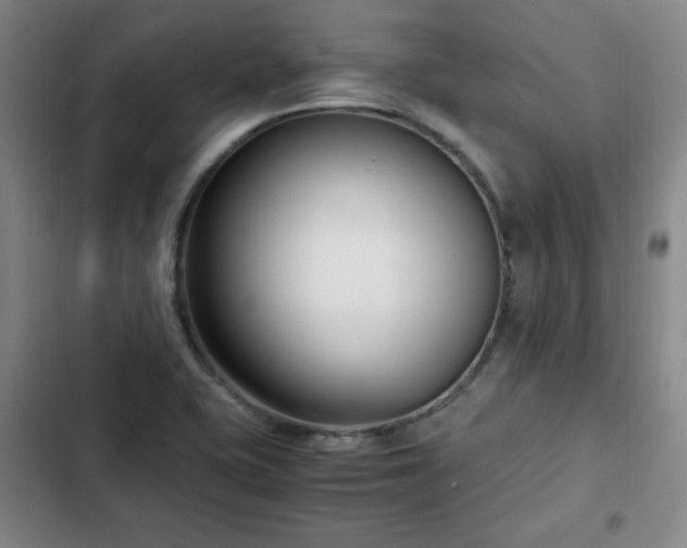 X0000102761415200808251017