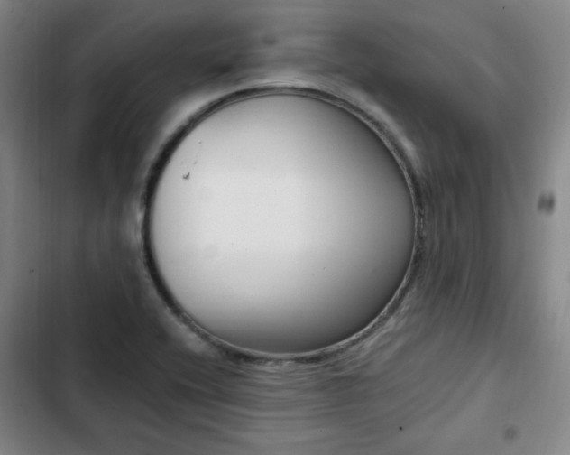 X0000102761416200808251017