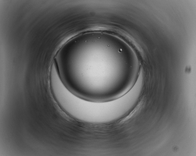 X0000102761417200808251017