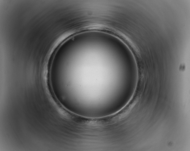 X0000102761418200808251017