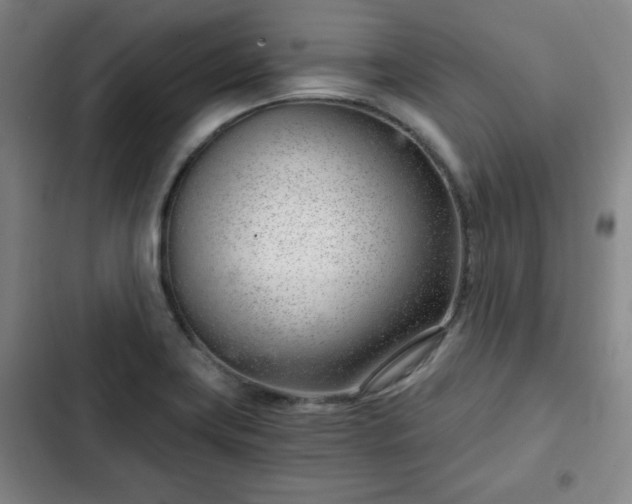 X0000102761419200808251018