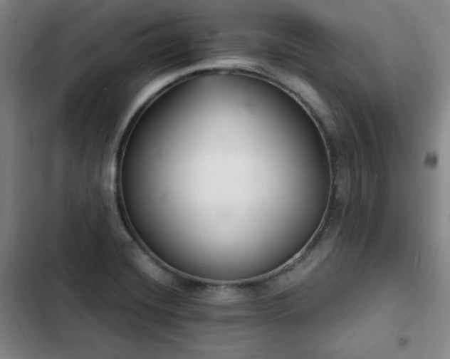 X0000102761420200808251018