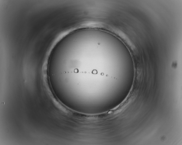 X0000102761421200808251018