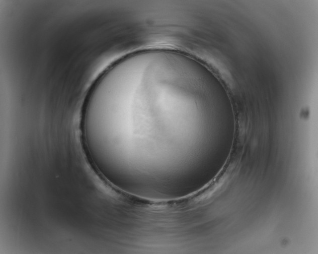 X0000102761422200808251018