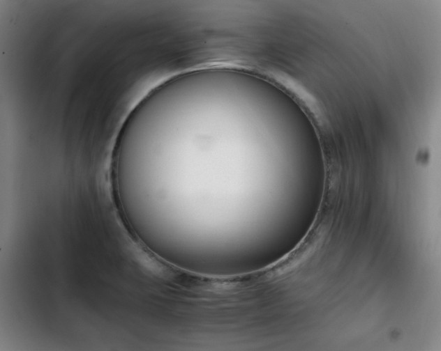 X0000102761423200808251018