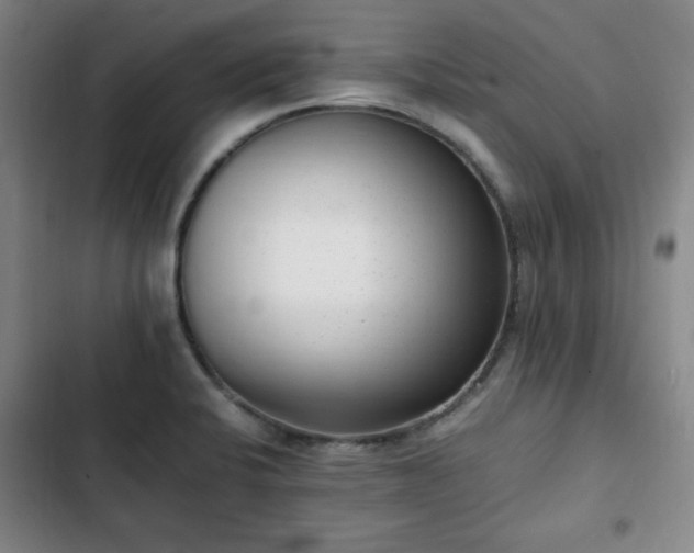 X0000102761424200808251018