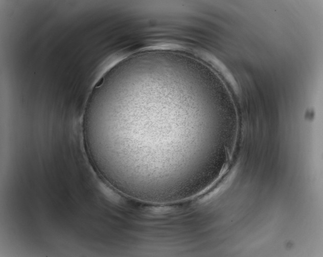 X0000102761425200808251018