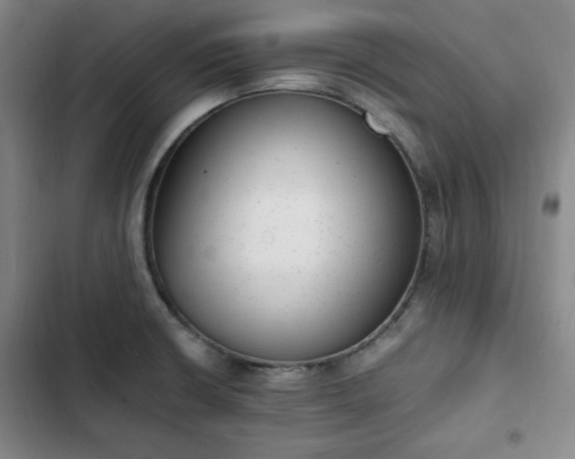 X0000102761426200808251018