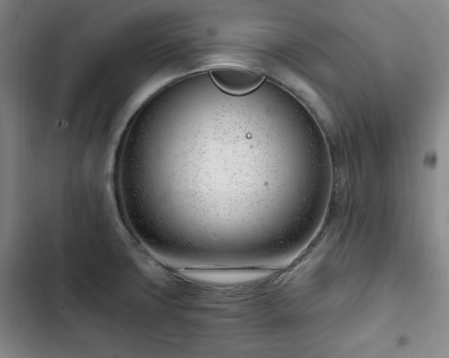 X0000102761427200808251018