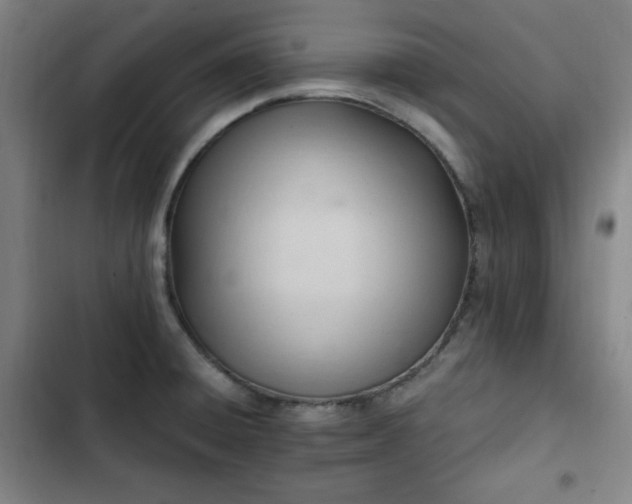 X0000102761428200808251018