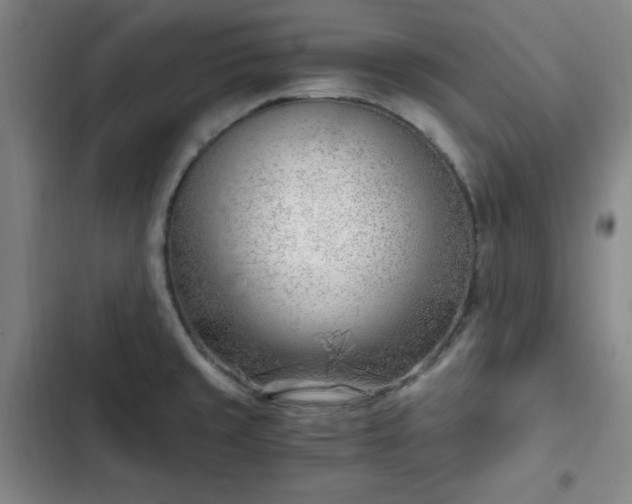 X0000102761429200808251018