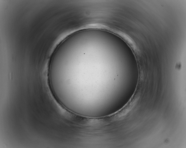 X0000102761430200808251018